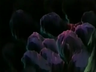 淫獸聖戰_雙胞胎天使_3_4